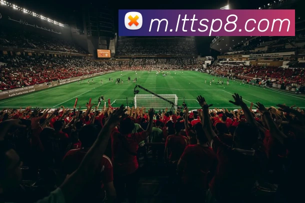 App Interface Preview