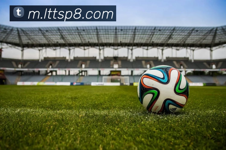 乐天堂体育APP 封面图